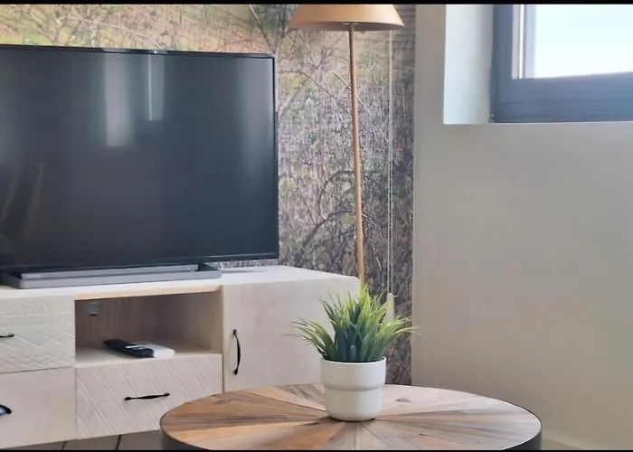 Fontainhas Douro Flats