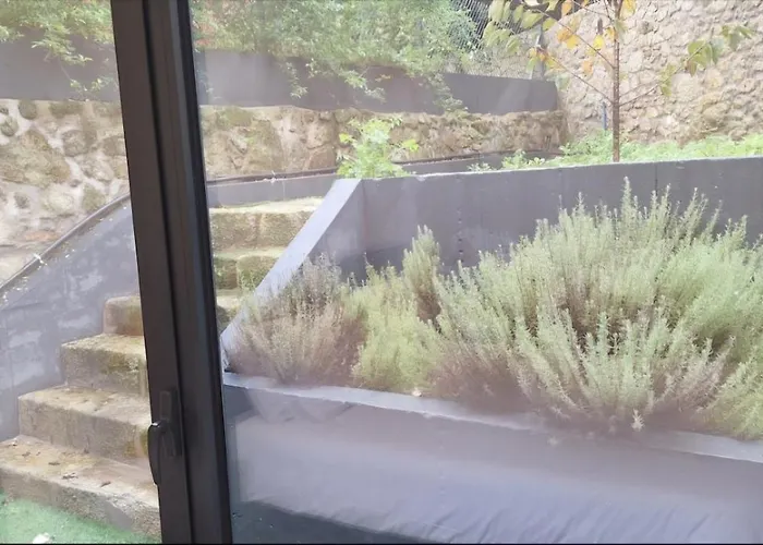 Апартаменты Fontainhas Douro Flats